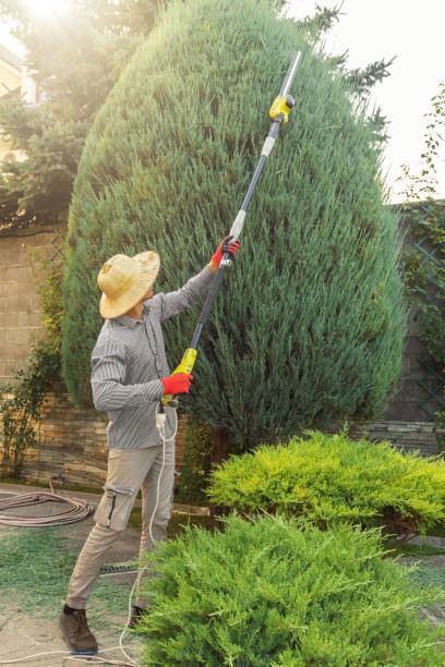 Best Organic Lawn Care Solutions  in Montrose, NY